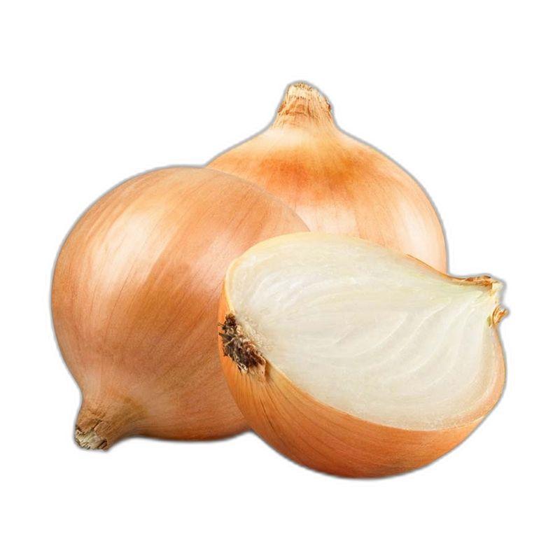 Dorata 5Kg Egitto