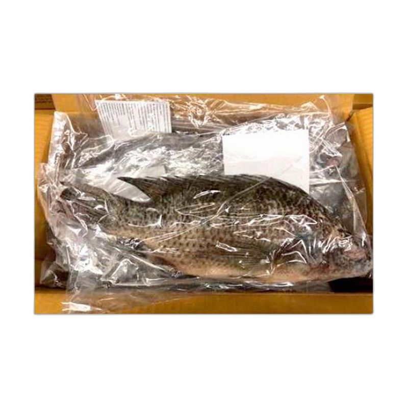 Fillets 100Gr T&A